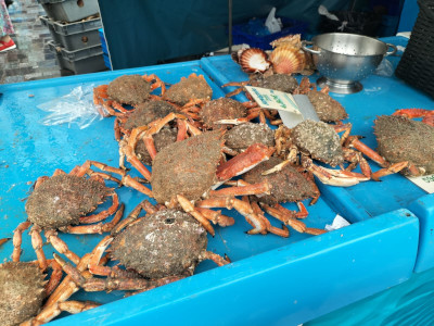 Marche_Lices_Araignees